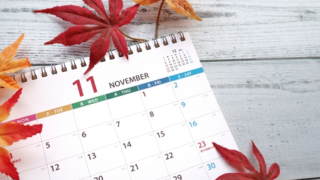 11月