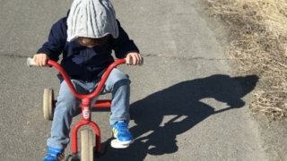 3歳児の三輪車
