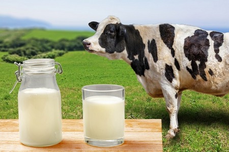 腐った牛乳の見分け方は 捨て方や意外な使い道も紹介します ライフハック 開運ラボ